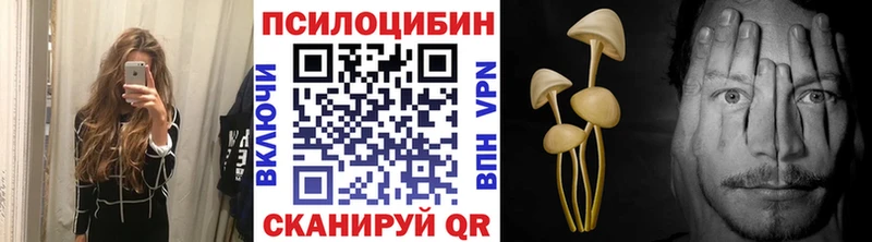 где можно купить наркотик  Боготол  Псилоцибиновые грибы MAGIC MUSHROOMS 